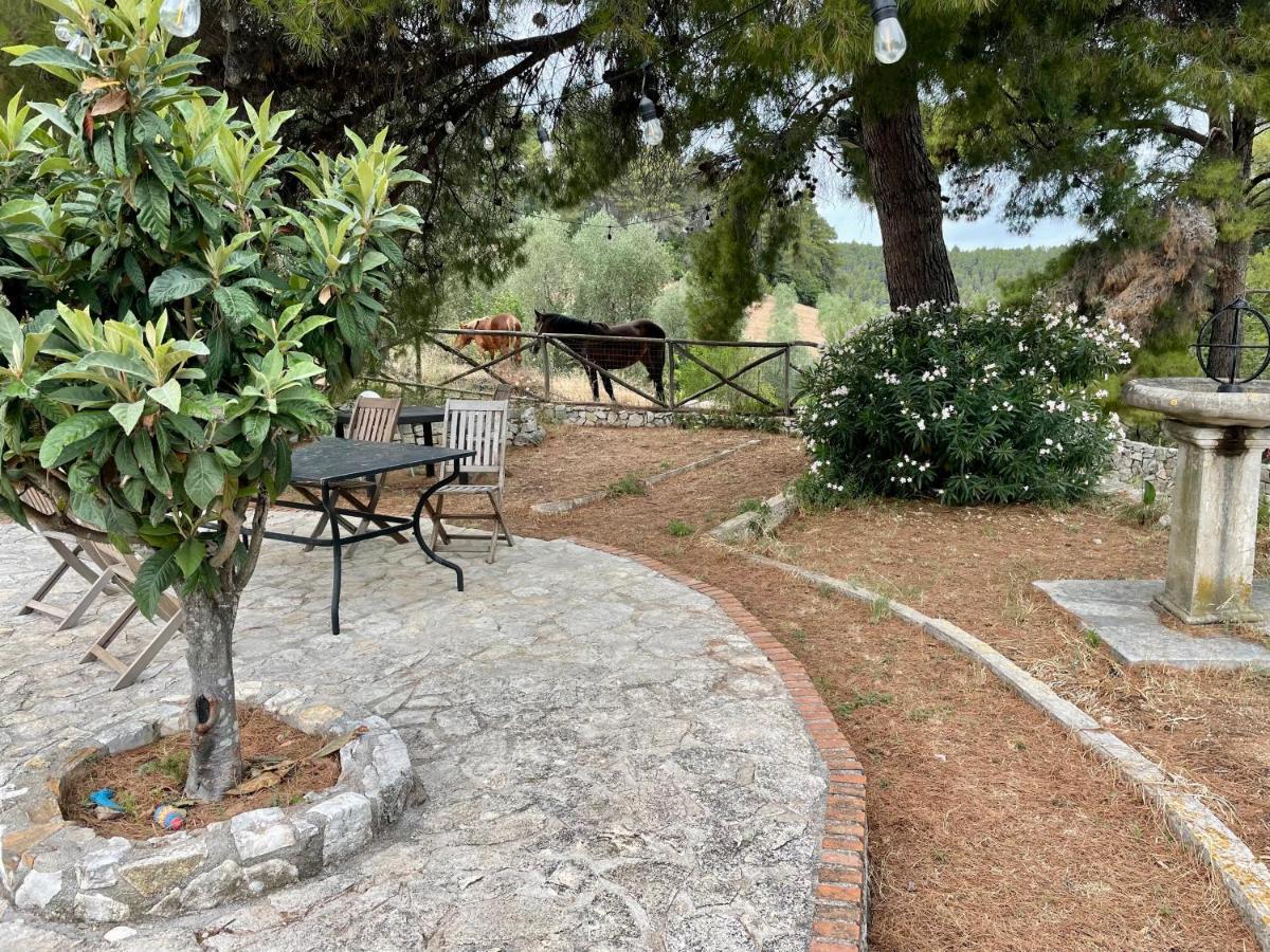 Novecento Country House В'єсте Екстер'єр фото